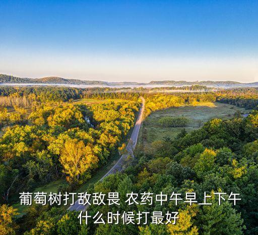 葡萄要噴什么農(nóng)藥,葡萄會噴農(nóng)藥嗎