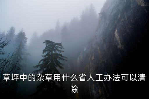 草坪中的雜草用什么省人工辦法可以清除