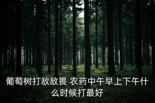葡萄樹打敵敵畏 農(nóng)藥中午早上下午什么時(shí)候打最好