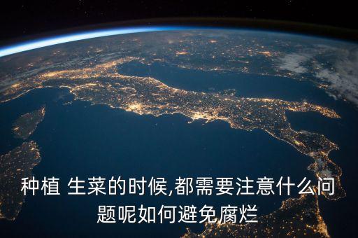 盆栽生菜用什么農藥,生菜一般都打什么農藥