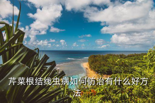 芹菜有蟲子打什么農藥,芹菜生蟲子用什么辦法