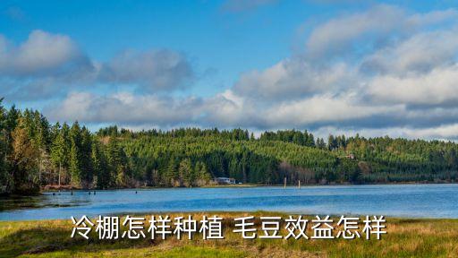 毛豆生產需要什么農藥,毛豆打什么農藥