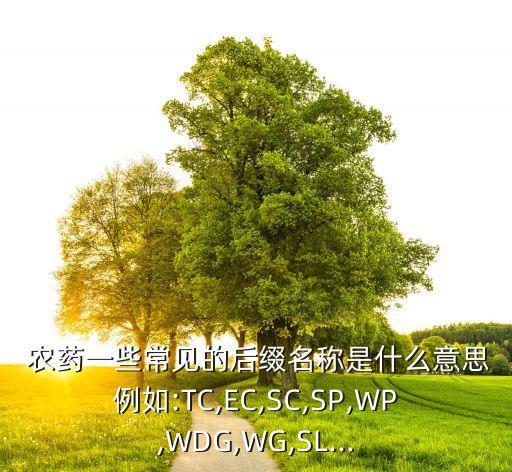 水劑殺蟲農藥是什么藥,幾丁聚糖水劑是什么農藥