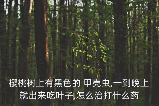 櫻桃樹上有黑色的 甲殼蟲,一到晚上就出來吃葉子,怎么治打什么藥