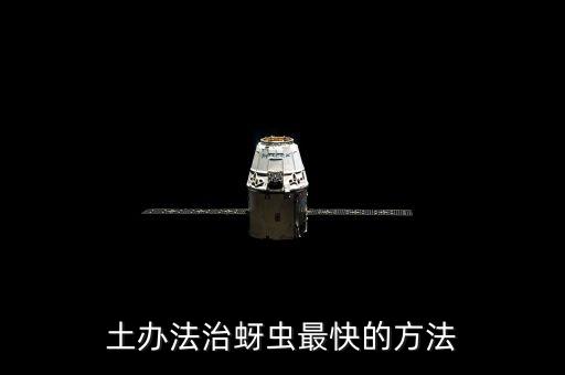 榆樹芽蟲用什么農藥,榆樹用什么農藥能殺死