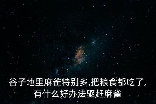 谷子地里麻雀特別多,把糧食都吃了,有什么好辦法驅趕麻雀