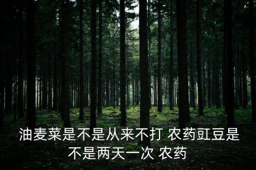 油麥菜買什么農藥