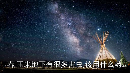春 玉米地下有很多害蟲,該用什么藥