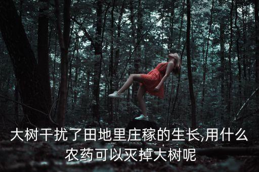 什么農藥能給樹藥死,雜樹用什么農藥根除