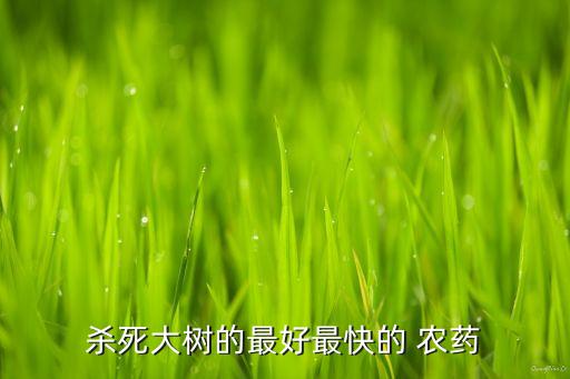 殺死大樹的最好最快的 農藥