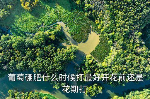 葡萄什么時(shí)候噴灑農(nóng)藥,一天中什么時(shí)候噴灑農(nóng)藥最好