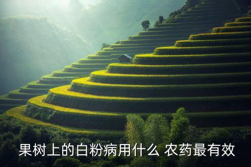 果樹上的白粉病用什么 農藥最有效