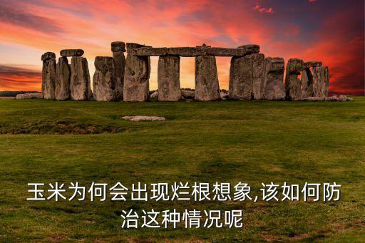 玉米莖腐用什么農藥治,什么農藥能讓玉米不結棒