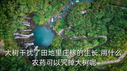 樹木噴灑農藥方法是什么,小區給樹木噴灑的農藥毒性大不大