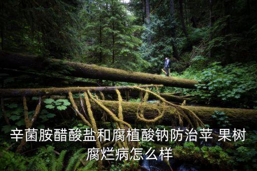 辛菌胺醋酸鹽和腐植酸鈉防治蘋 果樹 腐爛病怎么樣