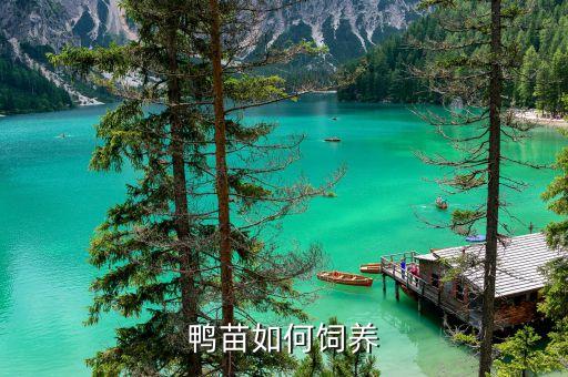 鴨子什么時候打農藥,什么時候打農藥效果最好