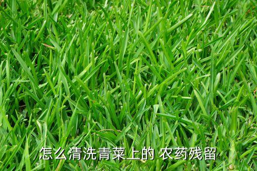 蔬菜去農藥用什么洗,清水洗蔬菜可以把農藥洗掉嗎