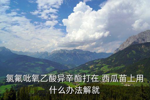 西瓜剛幼苗噴什么農(nóng)藥,西瓜幼苗用什么肥料