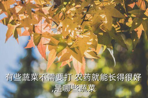 什么青菜沒農藥,青菜打什么農藥效果好