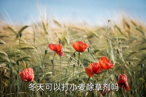 冬天地里打什么農藥好使,冬天用什么農藥用的多