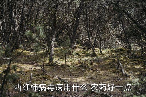 番茄用什么農藥打,番茄和什么一起打汁