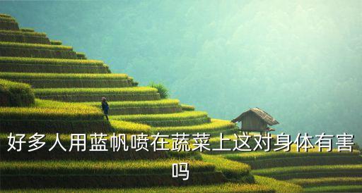 農藥藍礬治什么病,過氧乙酸農藥治什么病