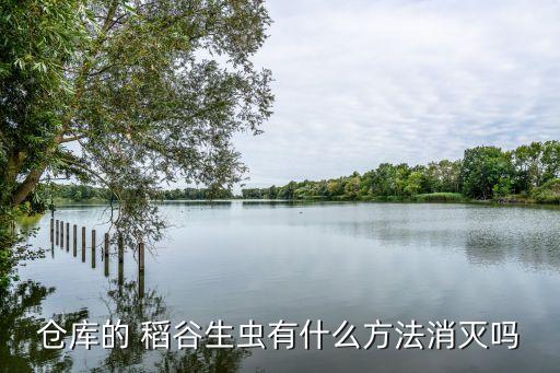稻谷撒什么農(nóng)藥防蟲(chóng),稻谷用什么藥可以防蟲(chóng)