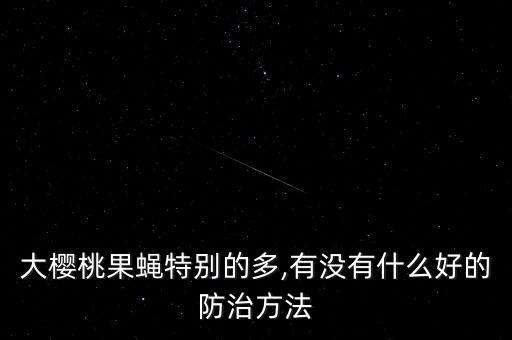 大櫻桃果蠅特別的多,有沒有什么好的防治方法