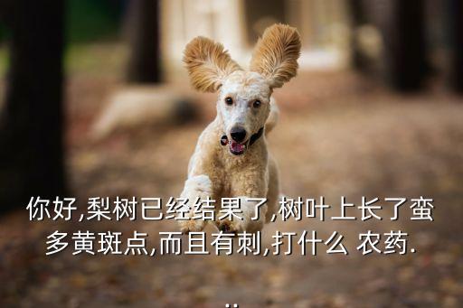 果子長黑霉用什么農藥