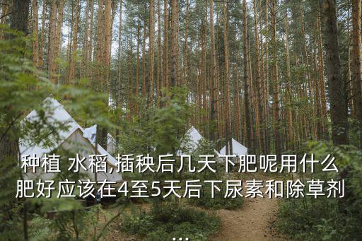 栽完水稻撒什么農藥,水稻種完后田里面可以種什么