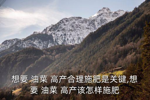 想要 油菜 高產(chǎn)合理施肥是關(guān)鍵,想要 油菜 高產(chǎn)該怎樣施肥