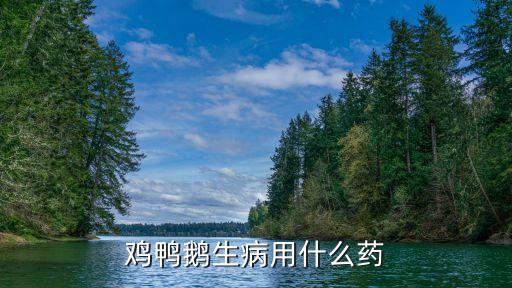 雞鴨鵝生病用什么藥