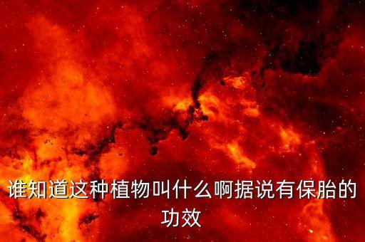 誰知道這種植物叫什么啊據(jù)說有保胎的功效