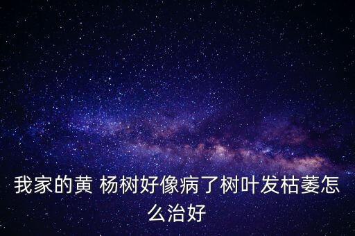 我家的黃 楊樹好像病了樹葉發枯萎怎么治好