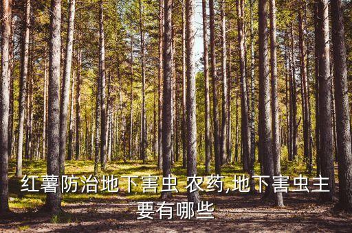 紅薯防治地下害蟲 農(nóng)藥,地下害蟲主要有哪些