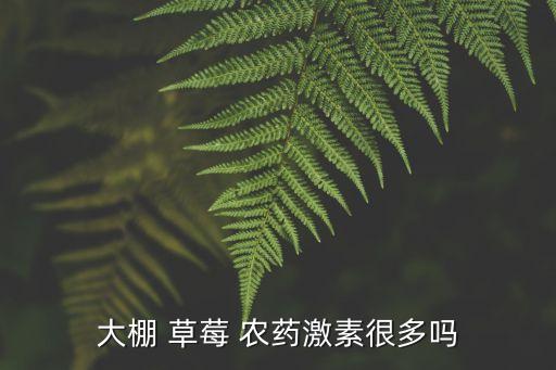 為什么草莓必要打農藥,草莓為什么有農藥味