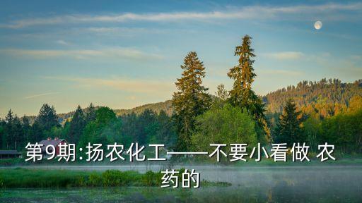 第9期:揚(yáng)農(nóng)化工——不要小看做 農(nóng)藥的