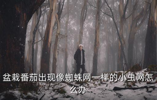 小西紅柿的蟲子怕什么農(nóng)藥