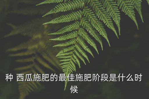 種 西瓜施肥的最佳施肥階段是什么時候