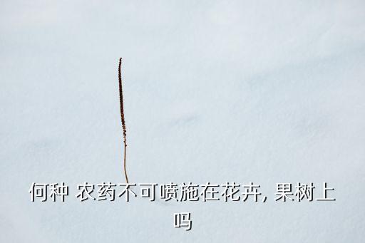 何種 農(nóng)藥不可噴施在花卉, 果樹上嗎