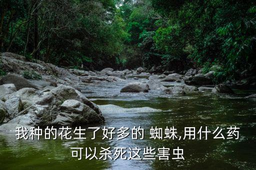 什么農(nóng)藥能毒死蜘蛛,有什么農(nóng)藥可以把樹毒死