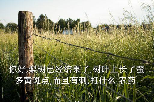 農藥打什么刀最好,炭疽病用什么農藥最好