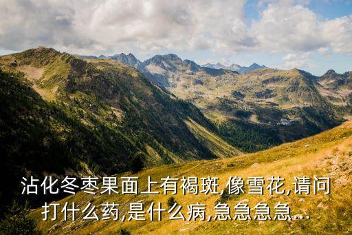 沾化冬棗果面上有褐斑,像雪花,請問打什么藥,是什么病,急急急急...