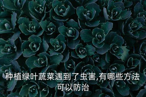 種植綠葉蔬菜遇到了蟲害,有哪些方法可以防治