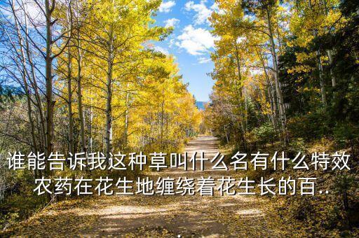 誰能告訴我這種草叫什么名有什么特效 農藥在花生地纏繞著花生長的百...