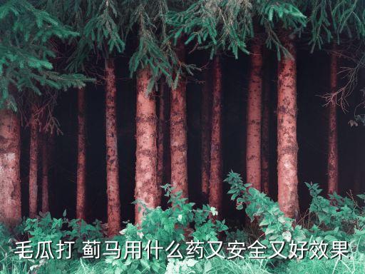 毛瓜打 薊馬用什么藥又安全又好效果