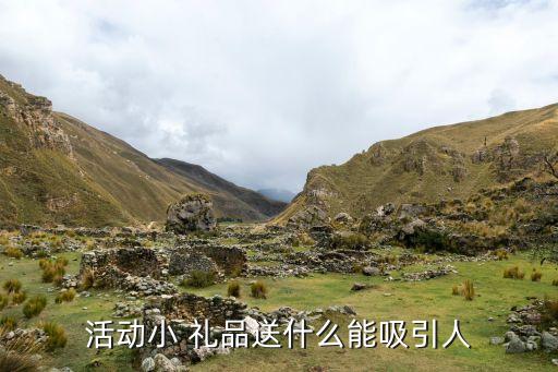 活動小 禮品送什么能吸引人