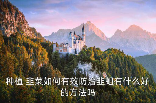 種植 韭菜如何有效防治韭蛆有什么好的方法嗎