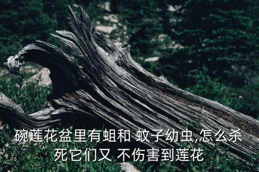 什么農(nóng)藥殺蚊子不傷植物,大面積滅蚊子用什么農(nóng)藥