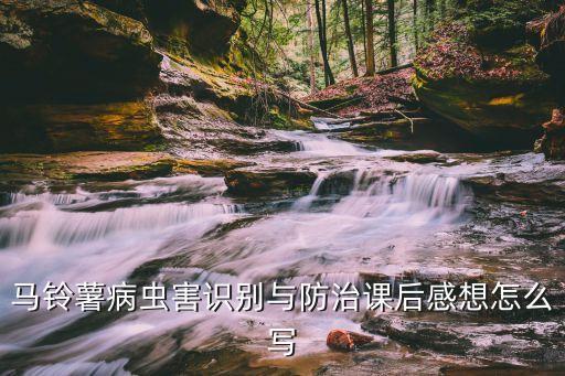 葉達是什么農(nóng)藥,666粉是什么農(nóng)藥